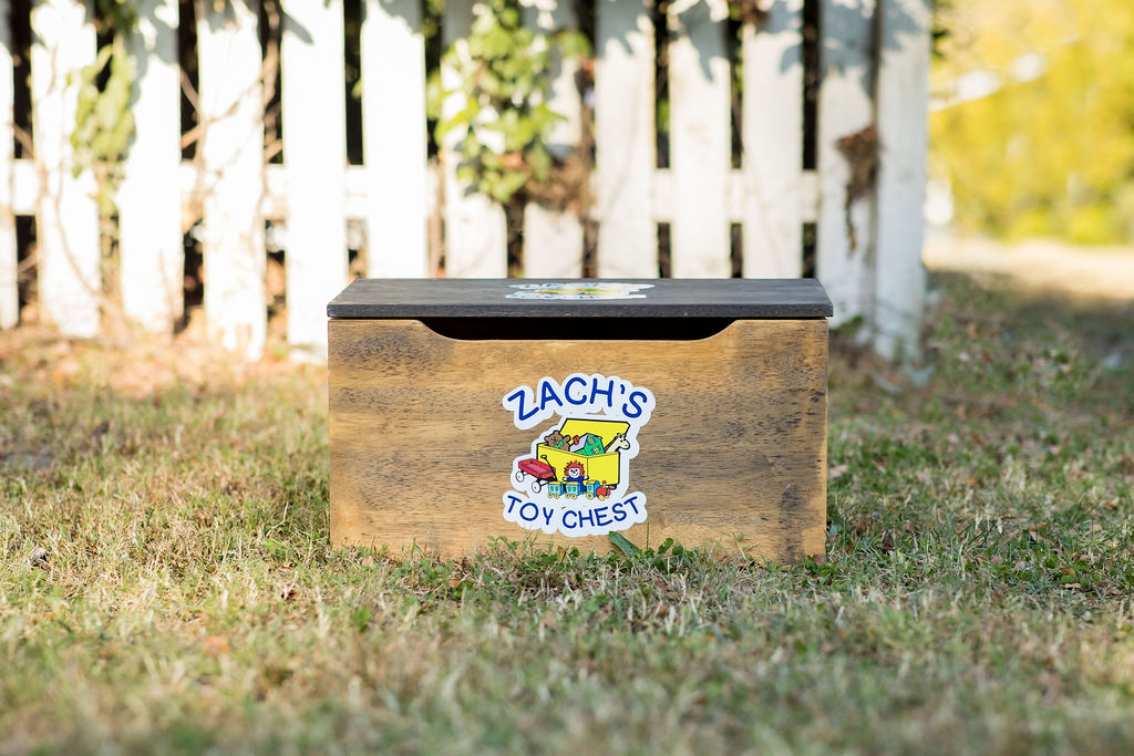 Zach's Toy Chest mini toy chest